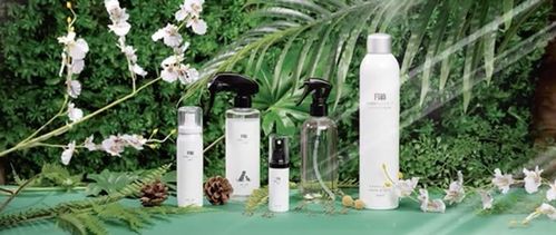 上海鯤盈環(huán)保 f118天然植物芬多精 中國國際進口博覽會空氣凈化治理