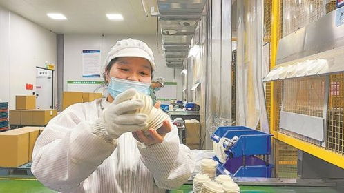 服務再升級 永定助企 開門紅