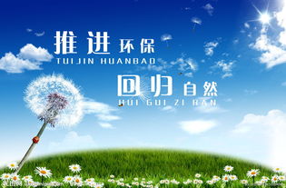 武夷山市序進式氣浮機廠家全國經銷