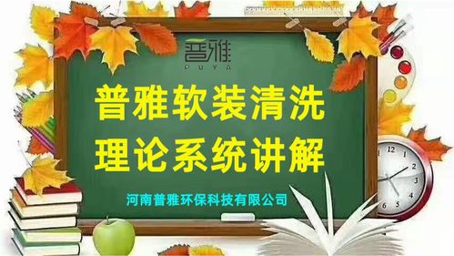 價值二三十萬的普雅軟裝清洗理論系統講解 20 保護涂層的特性