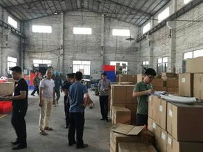 南海區人民政府門戶網站