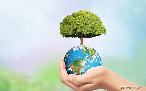 尚昂科技丨bpu無溶劑革,一種新型綠色環(huán)保皮革