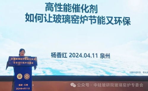 全國(guó)玻璃窯爐低碳環(huán)保及安全運(yùn)行技術(shù)交流會(huì)在泉州盛大召開