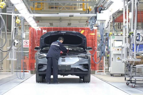 一錘定音 2021年才是中國新能源汽車元年