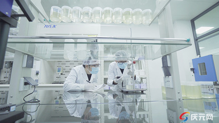 安益新材料:科技“撬動”創新 “智造”升級創造丨“企”動未來⑨