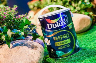 中國涂料十大品牌,多樂士環保漆領導者新品首發